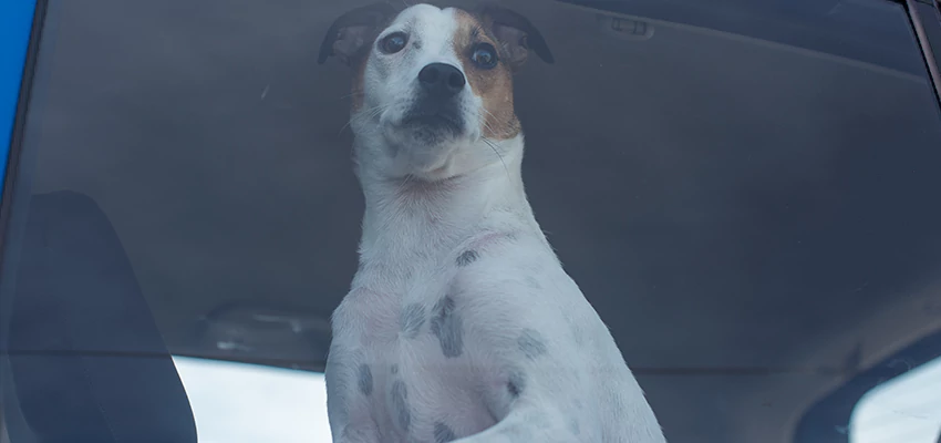 Car Lockout Solutions in Lathrop, California